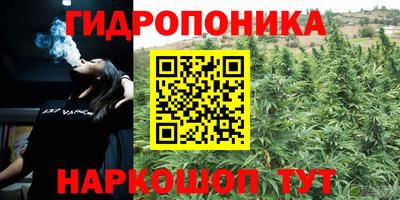 ALPHA PVP Камышлов