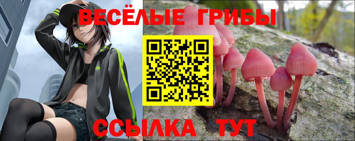 Псилоцибиновые грибы Psilocybe Добрянка